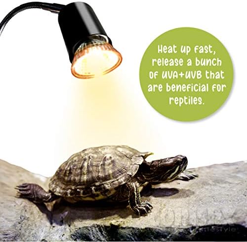 WAGOOLY gmilatorno svjetlo - grijač za grijanje kornjača sa žarulja sa grijanjem, temperaturna prekidača gmizavac Basking lampica, toplotno svjetlo za gekonu bradat zmaj terarijum - svjetiljka za toplotu