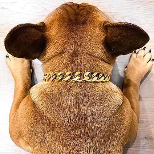 Zlatna ovratnica za širine 0,5IN za srednje do velikih psa 18K zlatna lanac za pse sa kostima i za mačje ovratnike Izdržljiv metalni