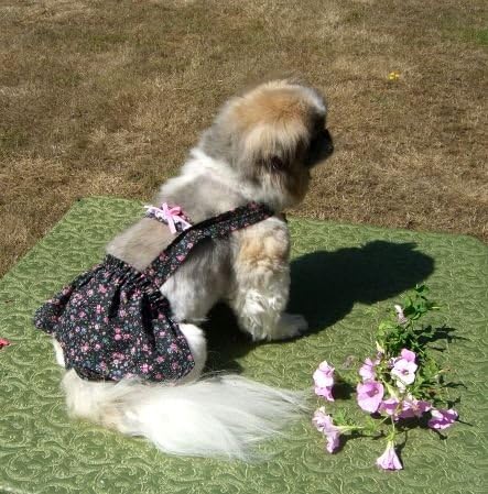 Joybies cvjetna piddle suknja za x malu žensku pse